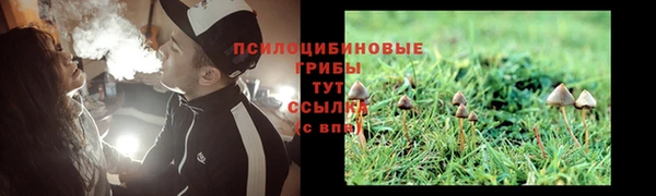 2c-b Волоколамск