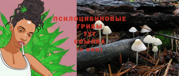 PSILOCYBIN Верхний Тагил